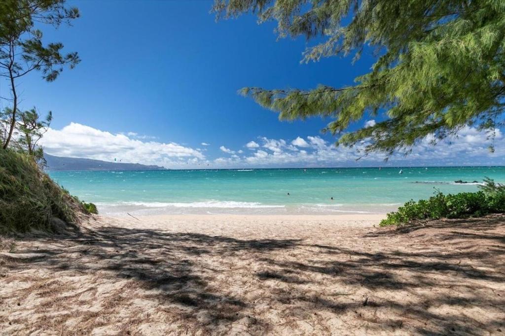 Unit 12 Maui Ohana Modern Studio Wailuku Exteriör bild